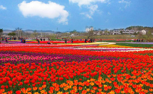 黃陂木蘭花鄉(xiāng)門票價格、景區(qū)電話、在哪里2019