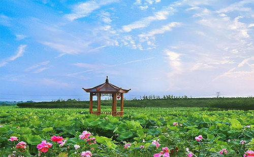 紫薇都市田園門票多少錢（游玩價格+可否退票）