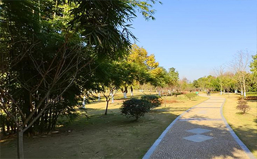 武漢和平公園有什么好玩的（花鳥(niǎo)市場(chǎng)+地址在哪）