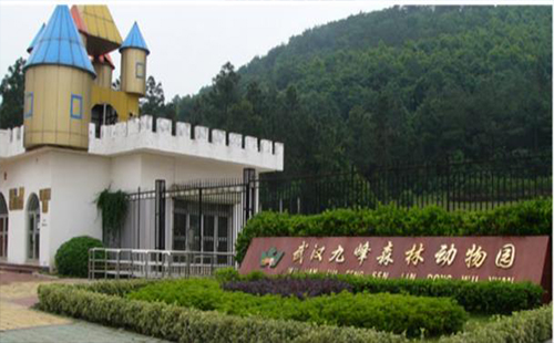 武漢九峰森林動(dòng)物園表演什么時(shí)候開(kāi)始(地址+門(mén)票優(yōu)惠)