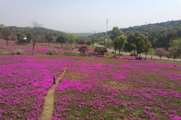 未標(biāo)題-4.jpg