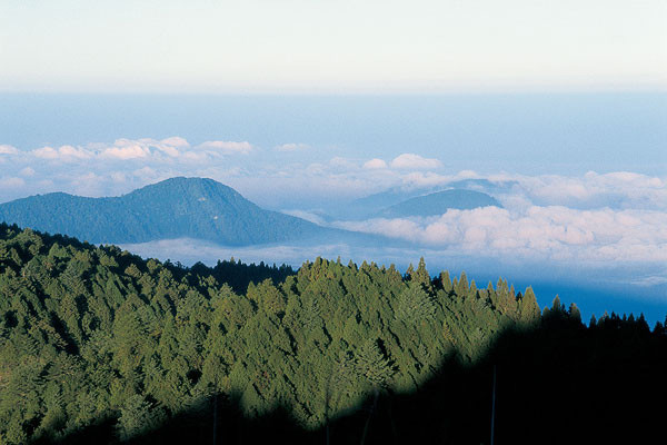 青龍山森林公園（出門準備+徒步路線）