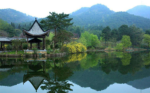 黃陂野村谷景區(qū)地址（電話+營業(yè)時間+門票是多少）