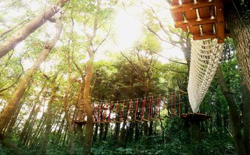 龍靈山生態(tài)公園攻略（地址+房車在哪+門票）