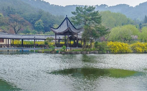 野村谷郊野公園門票（導覽圖+電話+附近酒店+位于哪里）