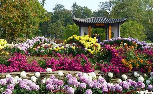 武漢植物園好玩嗎 武漢植物園值得游覽的景點(diǎn)有哪些