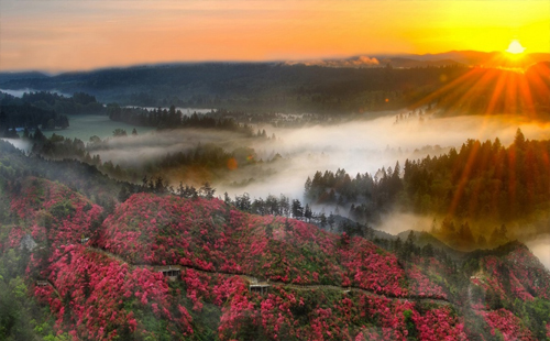 木蘭云霧山有玻璃橋嗎（多高+哪些景點+寺廟+索道）