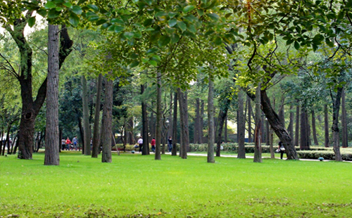 武漢解放公園美術館地鐵（在哪里+近期展覽）