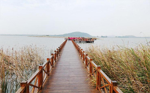 后官湖濕地公園到黃金口地鐵站有多遠（怎么走）