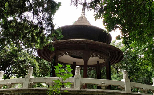武漢中山公園相親角在哪（時(shí)間表） 武漢解放公園相親角在哪里