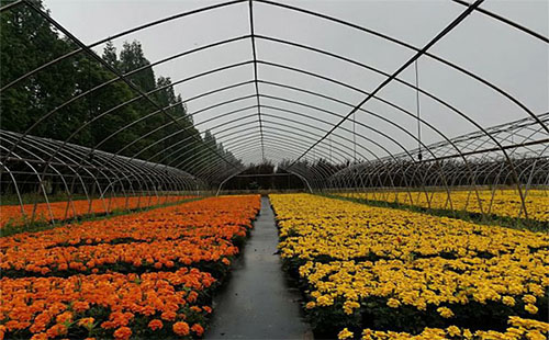 農(nóng)耕年華在哪里(交通路線+游客評(píng)價(jià))