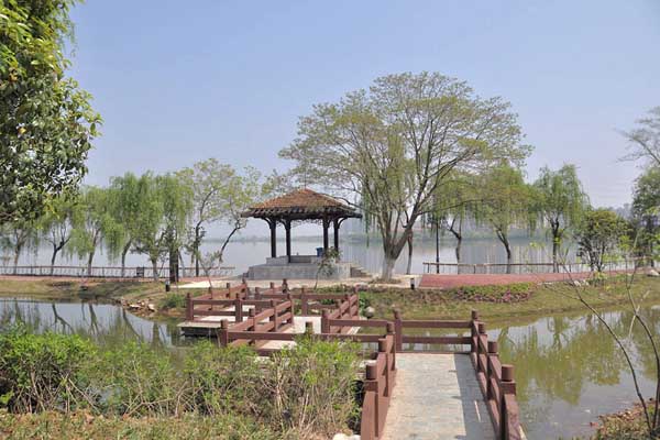 公園3.jpg