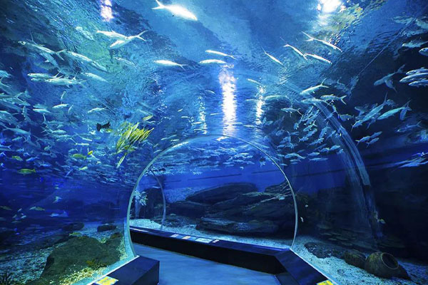武漢海昌極地海洋公園好玩嗎