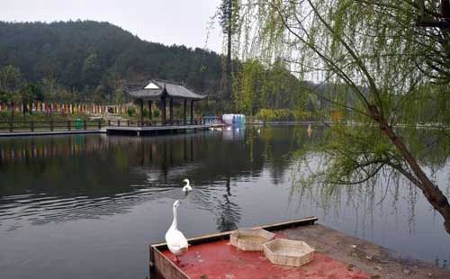 武漢野村谷酒店怎么樣（電話+地址+游玩項目）