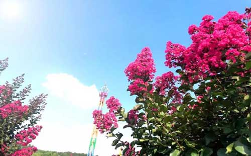 黃陂木蘭花鄉(xiāng)游玩攻略（水上樂園+開放時間）