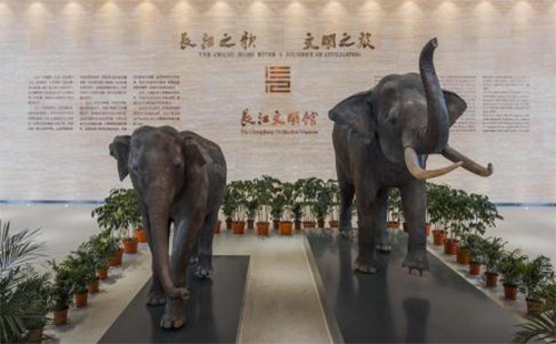 武漢長江文明館開放時間（地址+怎么走） 武漢長江文明館館藏