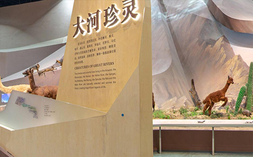 武漢貝林大河生命館藏品有哪些 武漢貝林大河生命館展覽分布圖