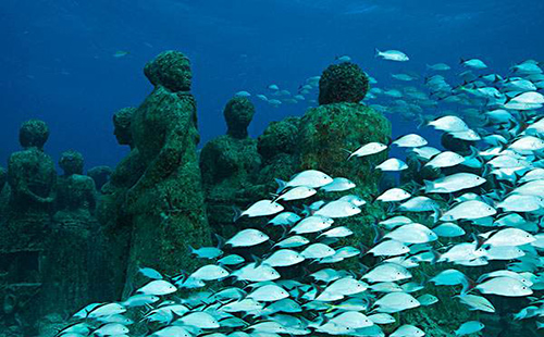 武漢水生生物博物館在哪里（票價+開放時間）