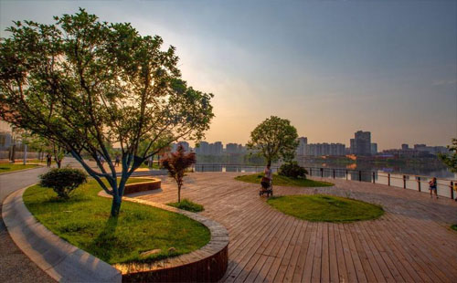 G584次高鐵沿線新建3座公園 綠化環(huán)境大量改善