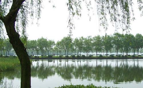 湯湖公園（時(shí)間 地點(diǎn) 路線）