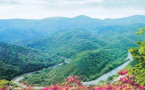 荊門?京山鴛鴦溪漂流怎么樣（時間 票價 路線）