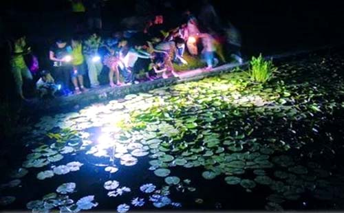 武漢植物園晚上開放嗎 武漢植物園晚上可以進(jìn)去嗎