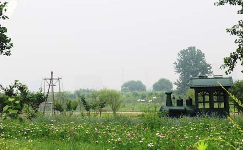 武漢花世界（時間 路線 介紹）
