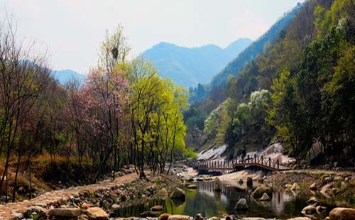 姚家山風(fēng)景區(qū)攻略 姚家山風(fēng)景區(qū)門票