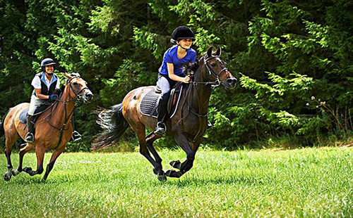 武漢哪里可以騎馬 武漢馬術俱樂部地址（電話）