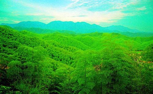 星星竹海怎么去  附近還有什么景點(diǎn)