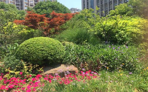 武漢關(guān)山荷蘭風(fēng)情園景點(diǎn)介紹