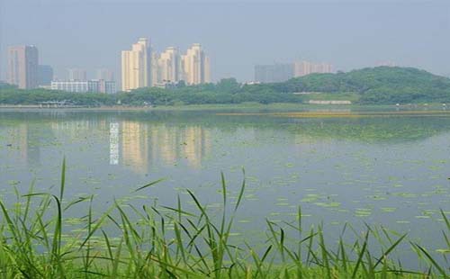 月湖公園包含了什么主題（時(shí)間 路線 ）