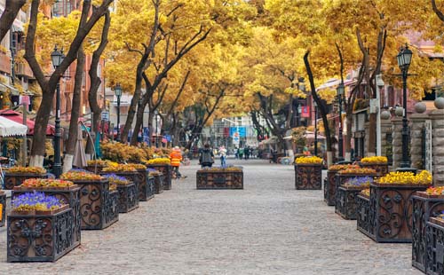 黎黃陂路怎么去（時(shí)間 地址）