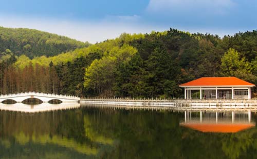 九真山有什么好玩的地方（ 時(shí)間 地址 路線）