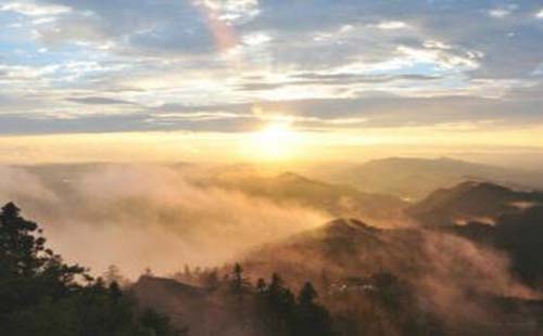 橫崗山生態(tài)園有哪些寺廟景觀（門票 地址）