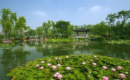 武漢園博園東門地鐵幾號(hào)線站點(diǎn) 公交站 好玩嗎