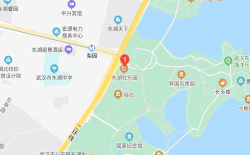 牡丹.jpg