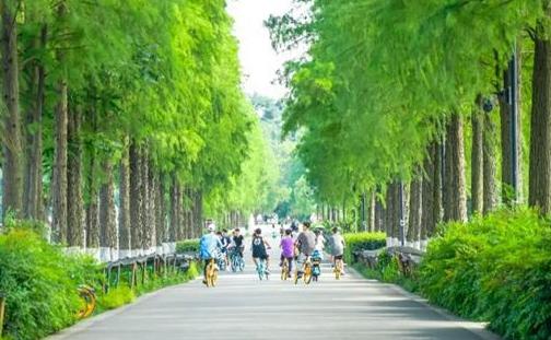 武漢東湖風(fēng)景區(qū)旅游攻略(路線+門票價(jià)格+停車)