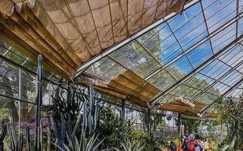 武漢植物園12月暫時關閉景觀溫室蘭花室（公告）