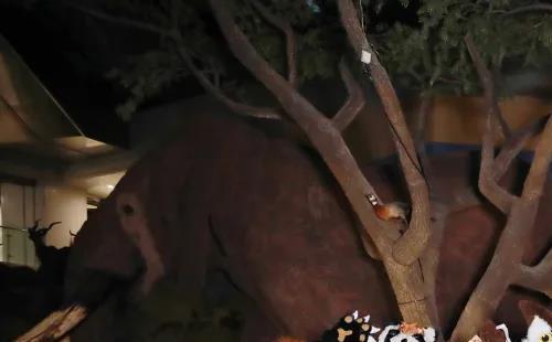 武漢自然博物館xzoo科普游覽劇演出時間及票價(jià)