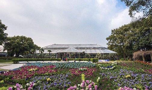 武漢植物園攻略 屬虎免費(fèi)賞花2022春節(jié)