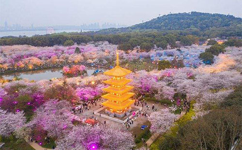src=http___nimg.ws.126.net__url=http___dingyue.ws.126.net_2021_0315_2119f282j00qpzjji00sfc000sg00iyg.jpg&thumbnail=650x2147483647&quality=80&type=jpg&refer=http___nimg.ws.126.jpg