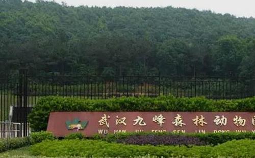 2022武漢九峰森林動物園三八婦女節(jié)免票活動一覽