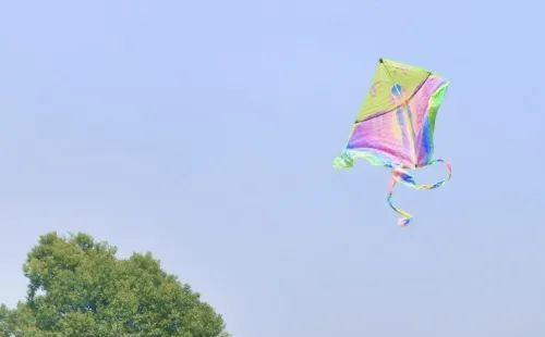2022武漢花博匯春游攻略