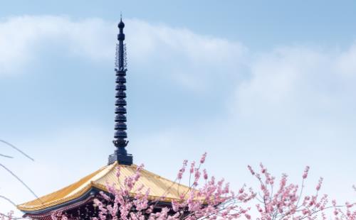 東湖櫻花主題消費(fèi)券怎么領(lǐng)-領(lǐng)取方式