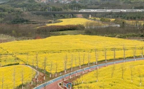 江夏靈山生態(tài)文化旅游區(qū)游玩指南(地址+門票+交通)