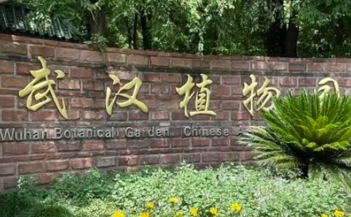 2022武漢植物園郁金香開花時間