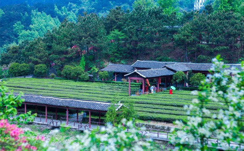 黃陂2.jpg