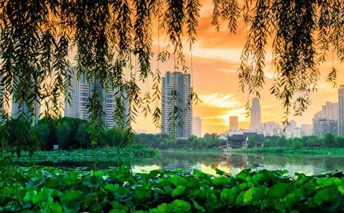 2022沙湖公園荷花園什么時(shí)候開(kāi)放