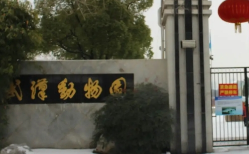 武漢動(dòng)物園什么時(shí)候開(kāi)放_(tái)預(yù)計(jì)2023年底